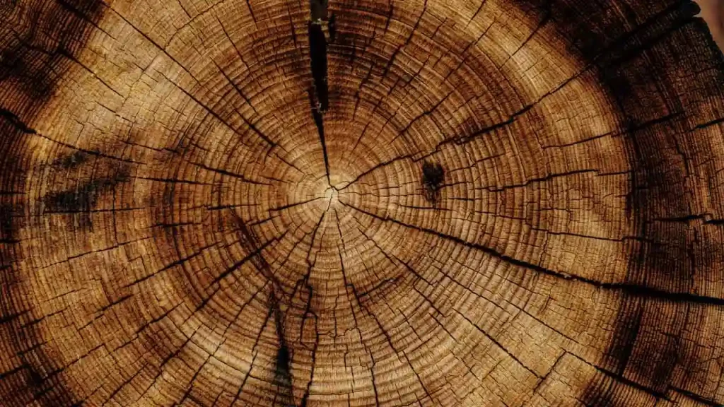 tratamiento madera